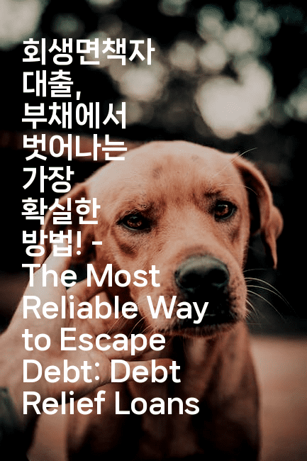 회생면책자 대출, 부채에서 벗어나는 가장 확실한 방법! - The Most Reliable Way to Escape Debt: Debt Relief Loans-미국드리