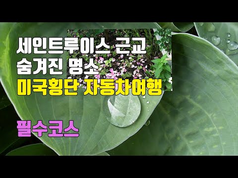 세인트루이스 근교 숨겨진 명소, 미국 중부 횡단 자동차여행 필수코스 소개