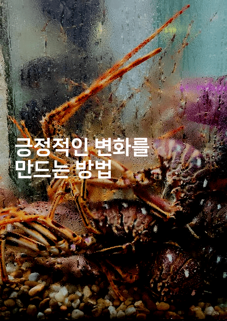 긍정적인 변화를 만드는 방법-미국드리