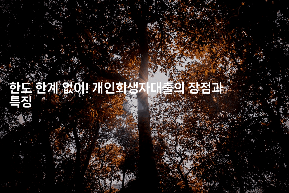 한도 한계 없이! 개인회생자대출의 장점과 특징-미국드리