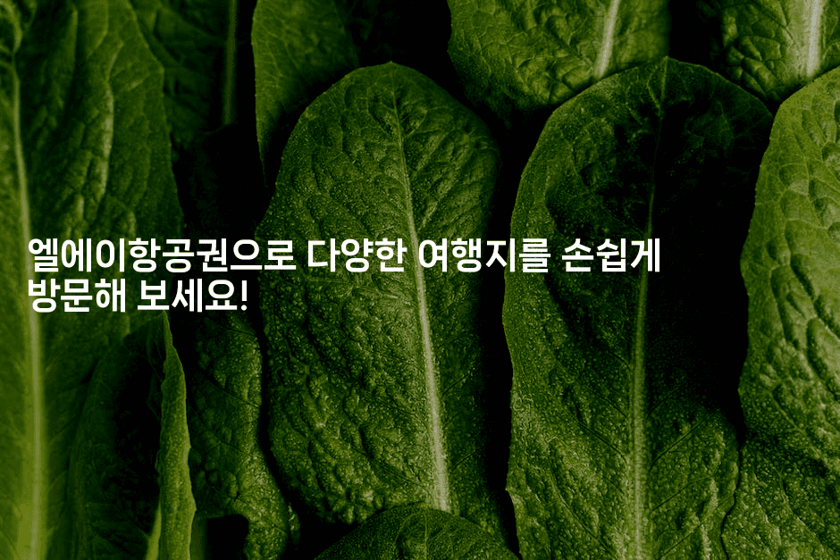 엘에이항공권으로 다양한 여행지를 손쉽게 방문해 보세요!2-미국드리