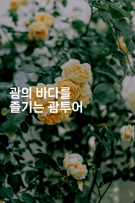 괌의 바다를 즐기는 괌투어2-미국드리