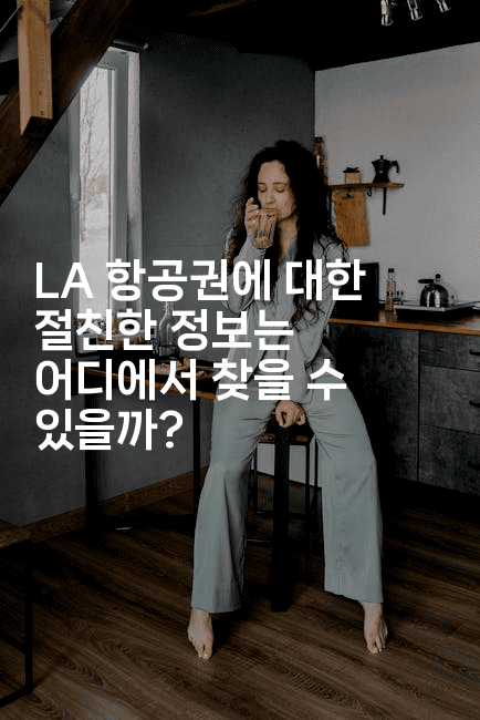 LA 항공권에 대한 절친한 정보는 어디에서 찾을 수 있을까? 2-미국드리