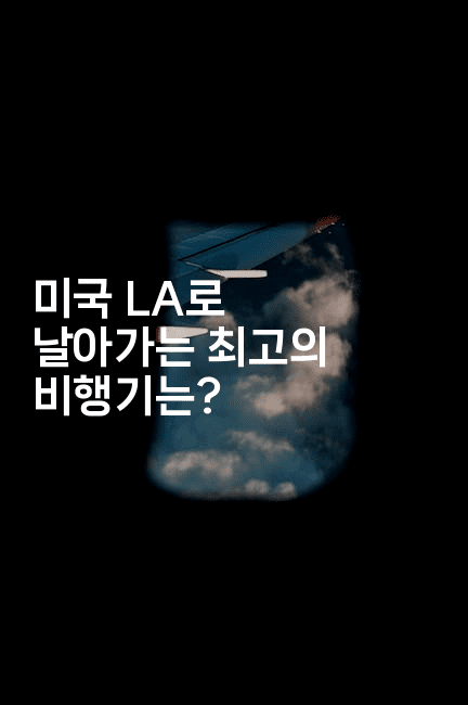 미국 LA로 날아가는 최고의 비행기는? 2-미국드리