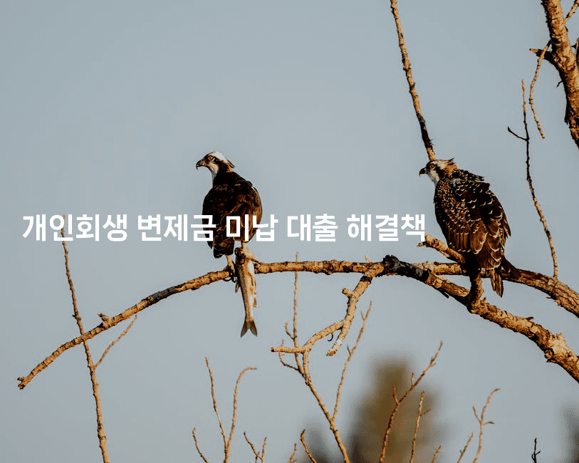 개인회생 변제금 미납 대출 해결책