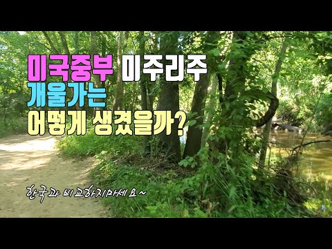 미국중부 미주리주 개울가는 어떻게 생겼을까?