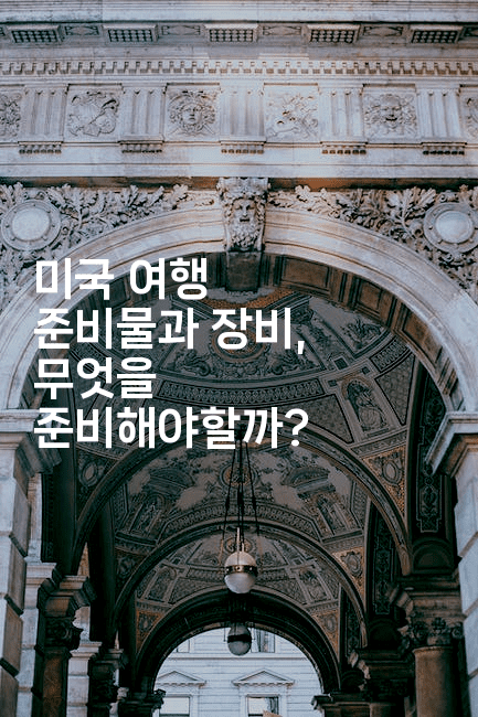 미국 여행 준비물과 장비, 무엇을 준비해야할까?2-미국드리