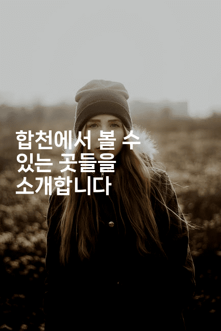 합천에서 볼 수 있는 곳들을 소개합니다 2-미국드리