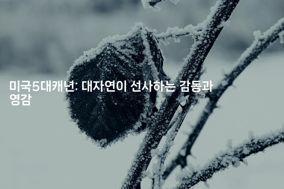 미국5대캐년: 대자연이 선사하는 감동과 영감-미국드리