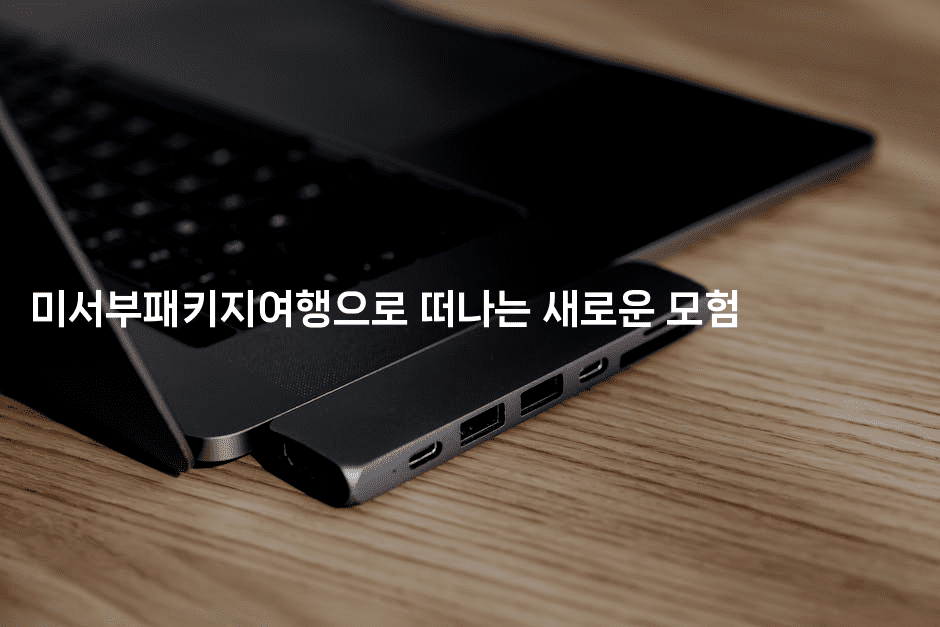 미서부패키지여행으로 떠나는 새로운 모험2-미국드리