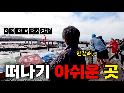 미국 브이로그??| 떠나기 싫다 여기... 5년만에 오신 부모님과 캘리포니아 여행? 안개속 금문교, 허탕친 베이커리?‍♀️ 에 울고 웃는 가족여행 | 미국 주부일상