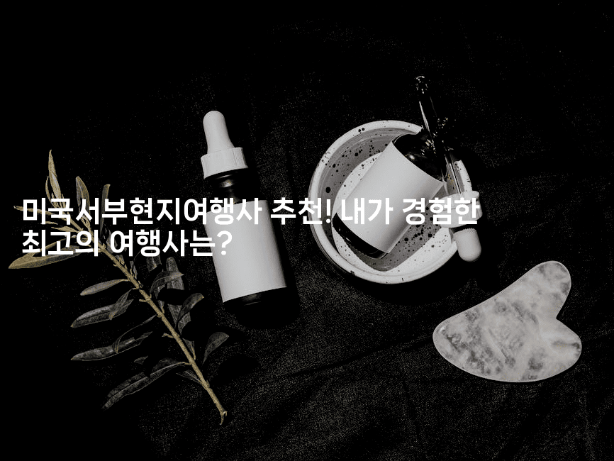 미국서부현지여행사 추천! 내가 경험한 최고의 여행사는?-미국드리