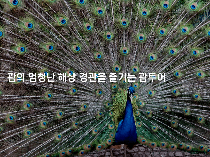 괌의 엄청난 해상 경관을 즐기는 괌투어