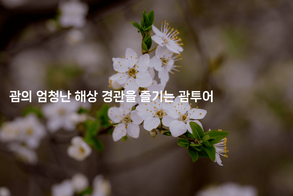 괌의 엄청난 해상 경관을 즐기는 괌투어2-미국드리