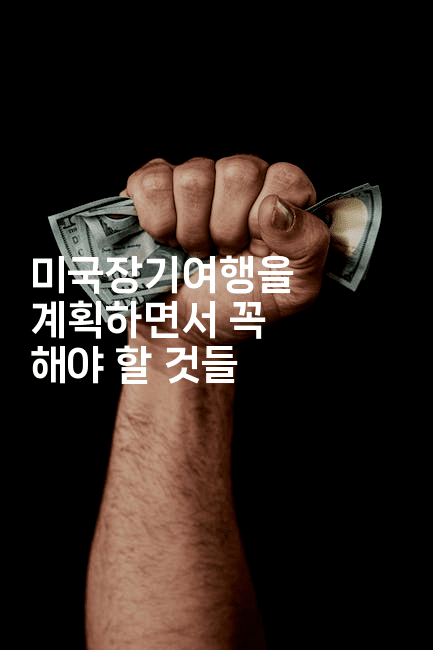 미국장기여행을 계획하면서 꼭 해야 할 것들-미국드리