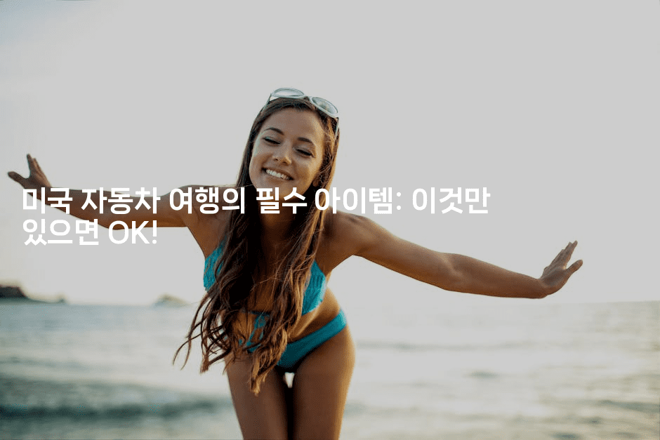 미국 자동차 여행의 필수 아이템: 이것만 있으면 OK!-미국드리