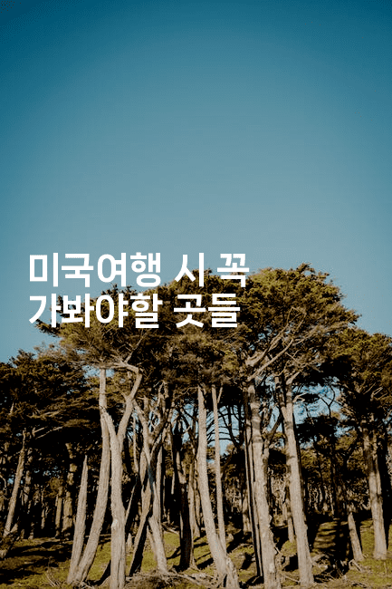 미국여행 시 꼭 가봐야할 곳들2-미국드리