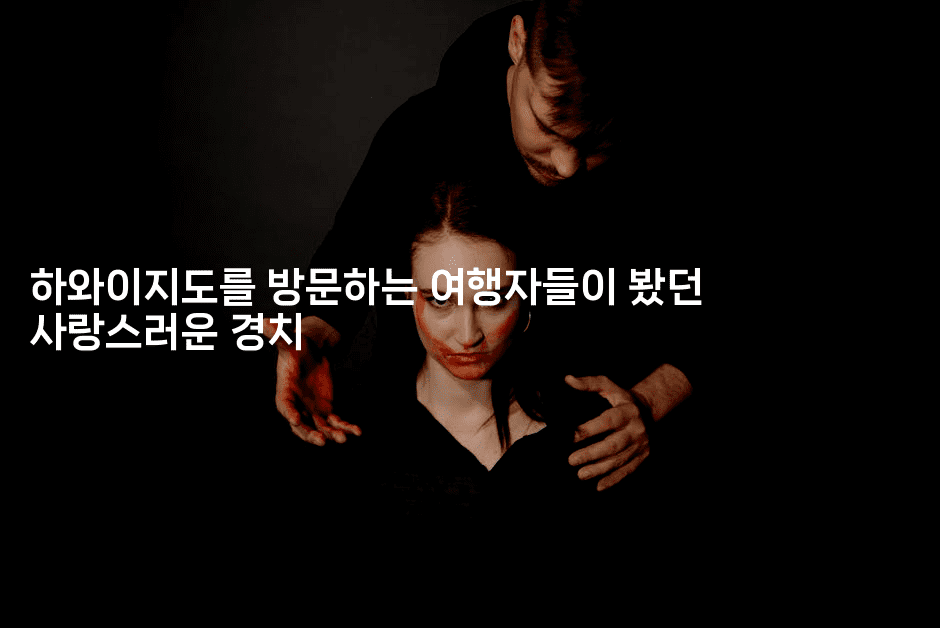 하와이지도를 방문하는 여행자들이 봤던 사랑스러운 경치 -미국드리