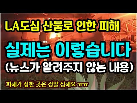 미국 서부 여행. LA 산불 NEWS 100% 믿으면 안되는 여행객 참고사항, 모든 지역이 마비되었다는 오해, 엘에이의 한인타운과 관광지 실제 상황, 여행 가능합니다