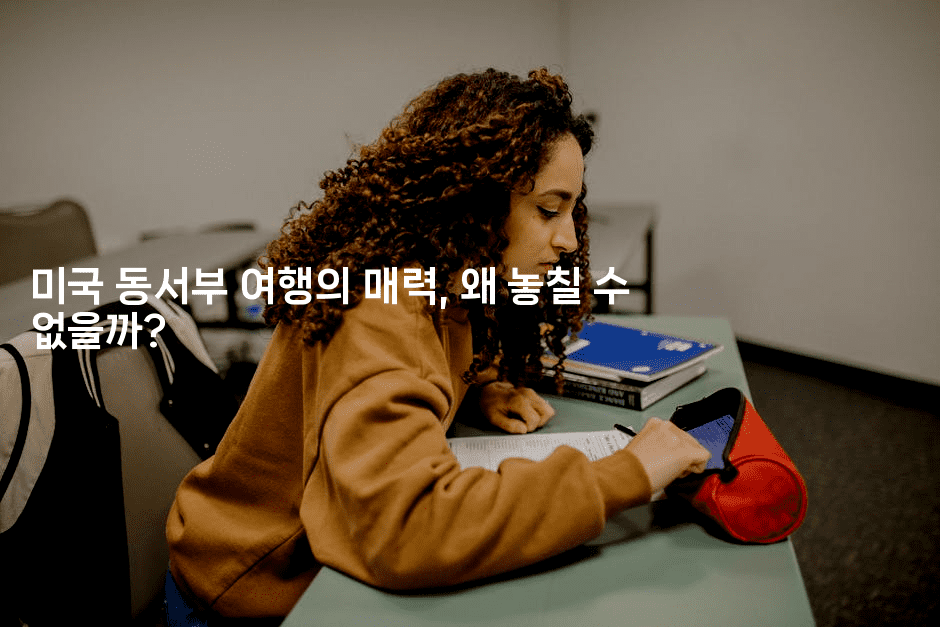 미국 동서부 여행의 매력, 왜 놓칠 수 없을까? 2-미국드리