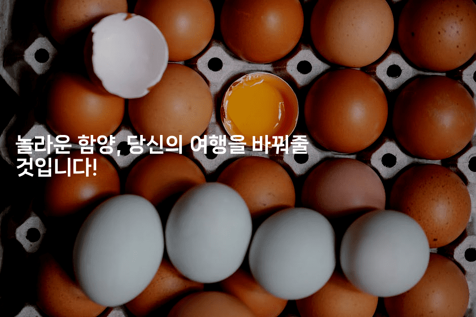 놀라운 함양, 당신의 여행을 바꿔줄 것입니다! 2-미국드리