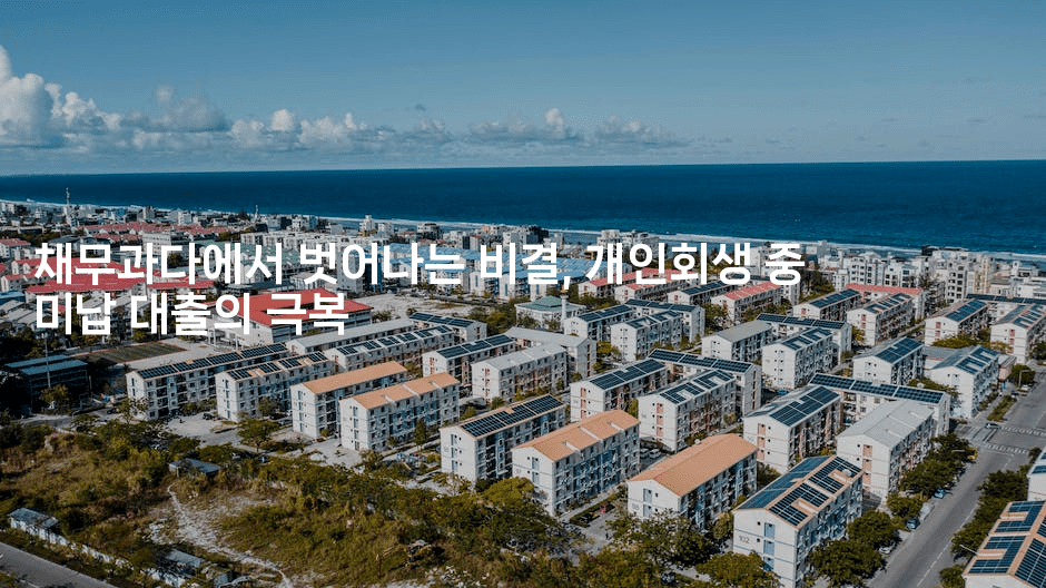 채무과다에서 벗어나는 비결, 개인회생 중 미납 대출의 극복-미국드리