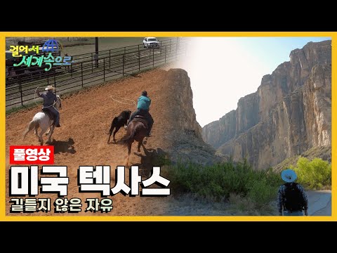 [걸어서세계속으로Full?] 모든 게 정말 큰 곳, 풍요로운 땅 '미국 텍사스' Trip to Texas (KBS 20230429)