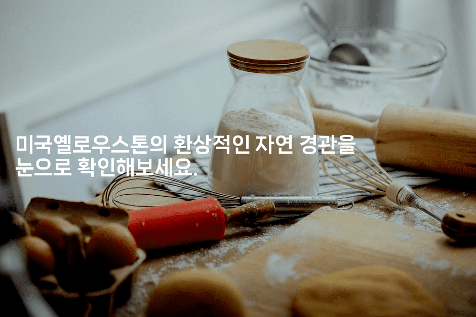 미국옐로우스톤의 환상적인 자연 경관을 눈으로 확인해보세요.-미국드리