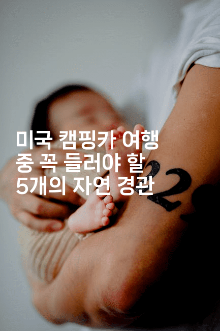 미국 캠핑카 여행 중 꼭 들러야 할 5개의 자연 경관-미국드리