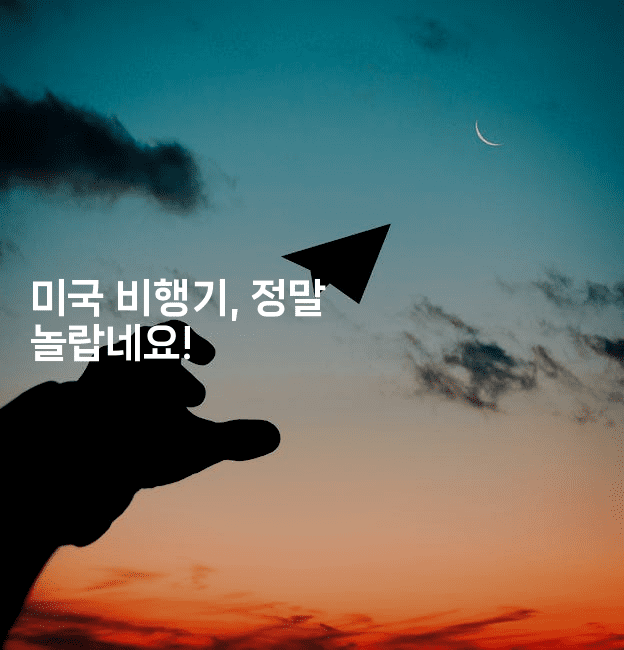 미국 비행기, 정말 놀랍네요!-미국드리