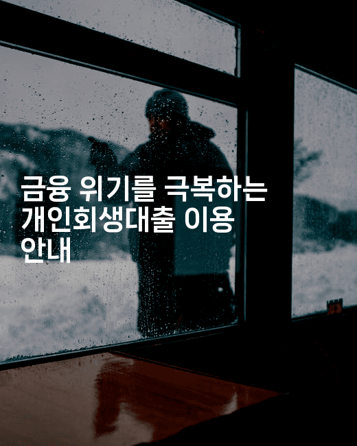 금융 위기를 극복하는 개인회생대출 이용 안내-미국드리