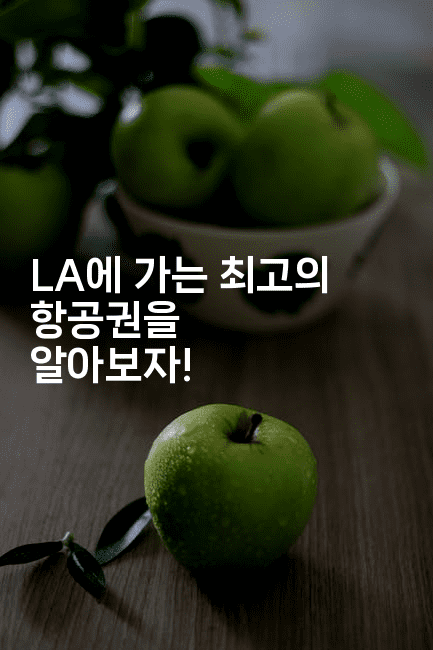 LA에 가는 최고의 항공권을 알아보자! 2-미국드리