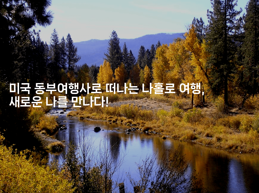 미국 동부여행사로 떠나는 나홀로 여행, 새로운 나를 만나다!-미국드리